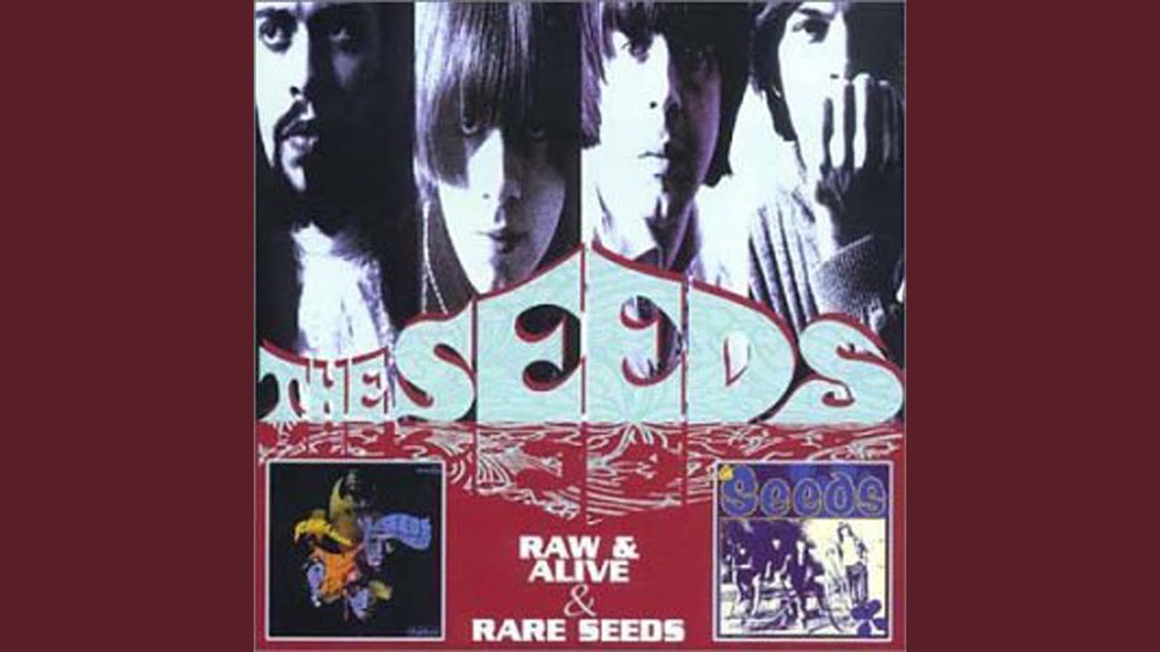 Satisfy You / 900 Million People Daily - The Seeds