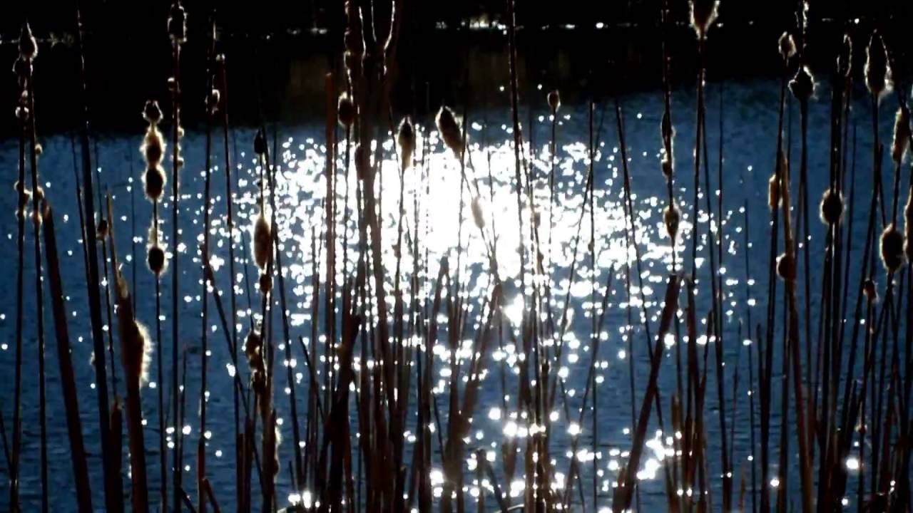  - alva noto, Ryuichi Sakamoto